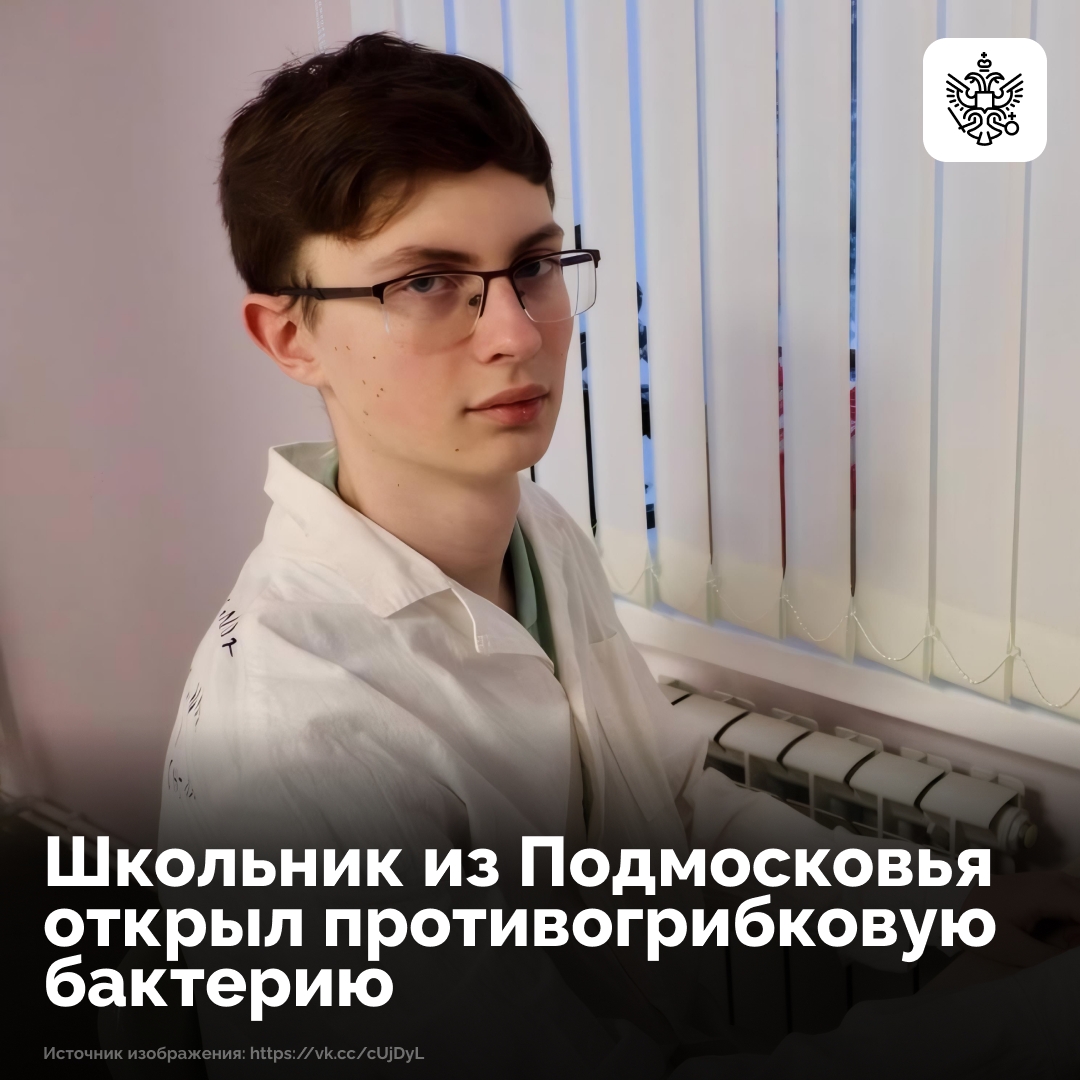 Старшеклассник из Пущино Николай Уликов случайно нашел бактерию, которая эффективно борется с грибками.