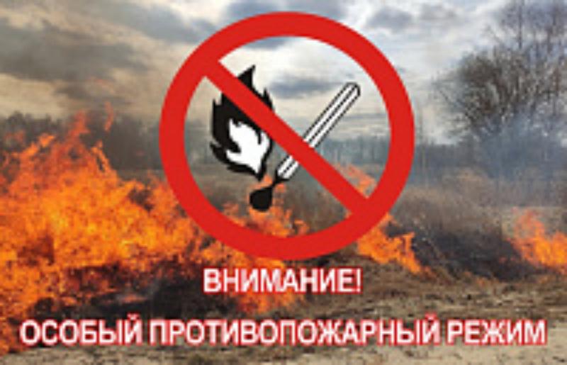Внимание! В Туве продлен противопожарный режим! Внимание! В Туве продлен противопожарный режим!